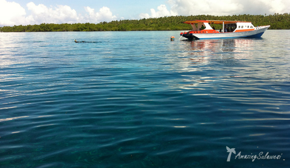 bunaken-marine-park-sulawesi-indonesia-22