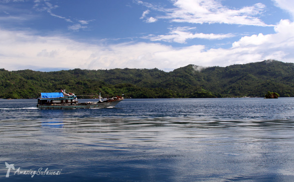 lembeh-island-sulawesi-indonesia-16