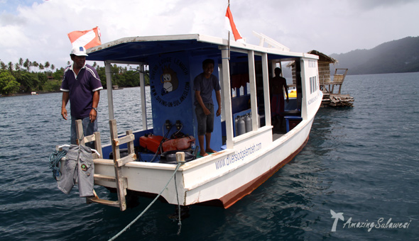 lembeh-island-sulawesi-indonesia-19