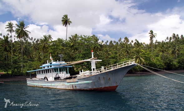 lembeh-island-sulawesi-indonesia-20