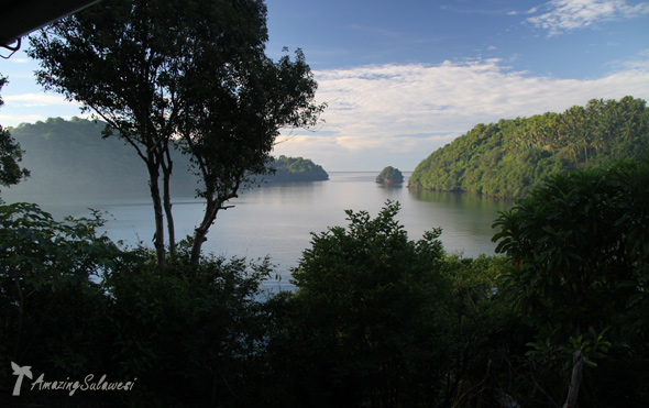 lembeh-island-sulawesi-indonesia-21