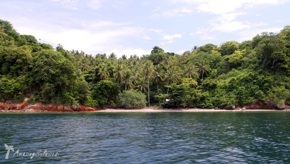 lembeh-island-sulawesi-indonesia-23