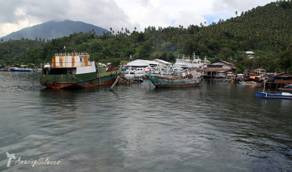 lembeh-island-sulawesi-indonesia-24