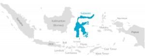 map indonesia and sulawesi