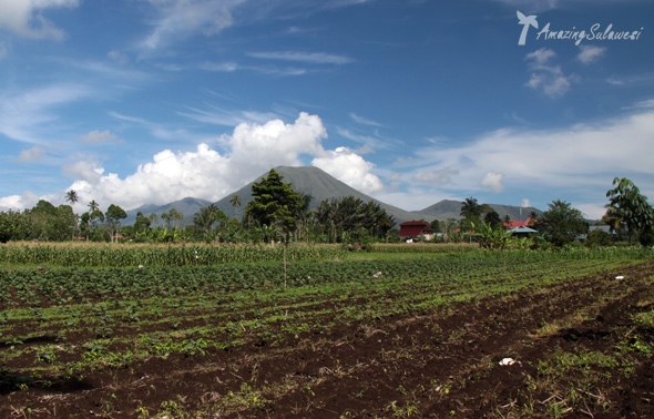 tomohon-sulawesi-indonesia-7