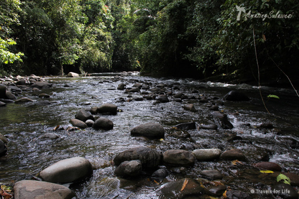 top10-sulawesi-bogani-nani-wartabone-national-park